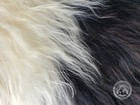 Real Icelandic Sheepskin Rug Exotic Tones - 2 X 4 