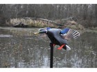 Mojo Elite Series Mini Mallard Drake Motion Duck Decoy