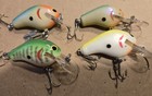 Bagley Killer B Tough Colors See Pictures
