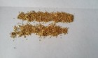 25  Placer Gold Fines Natural Raw Nugget 18 30 Mesh Bering Sea Alaska