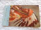 Original Antique Indian Post Card Black Bird Copyright 1899 No  142 Gold Writing