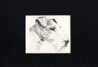 Wire Fox Terrier Head - Matted   Framed   Ready To Gift - 1963 Vintage Dog Print