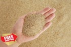 Landen Aquarium Sand 22 Lbs Natural River Sand For Plant Freshwater Biotope Tank