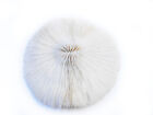 One White Mushroom Coral Home Decor Nautical 3   Aquarium Coastal Arts And Craft