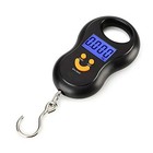 50kg 110lb Digital Hanging Scale Portable Luggage Fishing Weight Lcd Hook Scale