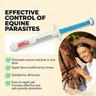 2 Pack New Paste Wormer Horse Dewormer Apple Flavor Us Free Shipping