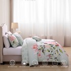 Bebejan Rose On Misty Green 5 Piece Reversible Comforter Set Queen