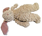 Jelly Cat Beige Rabbit 10 Inch  sku  2540 