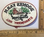 Vintage Boone   s Farm Original Strawberry Hill Wine Logo Sew On Patch
