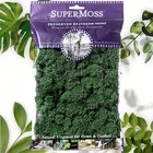 Preserved Forest Green Reindeer Moss - 2oz  Eco-friendly  Vibrant  Natural D  cor