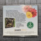 Sierra Complete Home Architect Version 2 0 - 2-disc -  pc Cd-rom  1998  -  read 