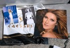 Celine Dion Las Vegas Caesars Palace Concert Residency 2015 Tour Programme   Bag