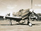 Wwii Usaaf Aircraft Photo P-39q Airacobra  calamity Ann 2nd  82nd Rs   Trs 1944