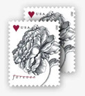 Wedding Vintage Rose Sheet Of 100 Forever Stamps Mnh  4959 Invitations 2015