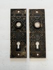 Antique Eastlake Door Backplates Pair Steel Urn flowers Great Design Lot F