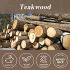 Teakwood Fragrance Oil 3 38fl oz - Aromatherapy Essential Oils For Diffusers For