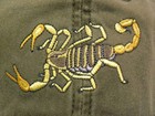 Scorpion Embroidered Cotton Cap New Hat Desert Hairy Invertebrate
