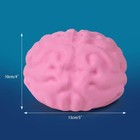 Plus Size Large Brain Squishy Squeeze Ball Giant Jumbo Big Stress    