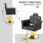 All Purpose Salon Chair Recline 135    For Haircut Waxing Threading For Barber