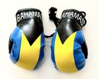 Bahamas Mini Boxing Gloves Country Pride Flag Car Truck Auto Gift
