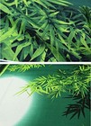 Furoshiki Wrapping Cloth Japanese Small  Summer Bamboo And Moon
