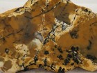 Dig-n-utah  Slab Trapper Creek Jasper Agate Dendritic Rough Cab Wyoming    J 409