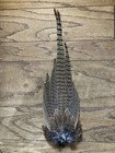 2 Wild Rooster Ringneck Pheasant Tail Feather Clumps Fly Tying Art On A Feather