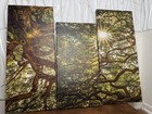 3-panel Vertical Canvas Print Wall Art  Trees Nature Theme  Green brown