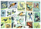     5 Original Postcards For Postcrossers Stamps Flowers Birds World-wide    