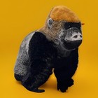 Steiff National Geographic Boogie Gorilla Plush With Ear Tag 062216