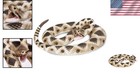 Realistic 40  Eastern Diamondback Rattlesnake Figurine