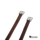 Signature By Antares Stirrup Leathers New 54    Malt 135 Cm 