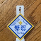 Estate Find  Vintage Boy Or Cub Scouts Progress Toward Ranks Beads