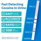 Areta Cocaine Test Strip  Highly Sensitive Cocaine Drug Test Strips  10 Pack Coc