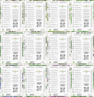 Herb Seeds Variety Pack Culinary Herb Collection  12 Individual Packets For P   