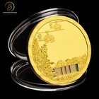 Vietnam Veteran Challenge Coin