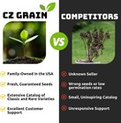 2 Blueray Blueberry Tree Seedlings Live Plant     Fruit Bearing Blueberry Bush