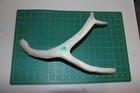 Xlarge Branched Deer Antler Dog Chew  60   Bone Chews Deer Elk Treats Deer 1018
