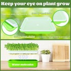 12 Complete Sets Seed Sprouter Tray With Drain Holes Nursery Microgreens Growing