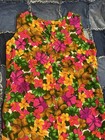 Vintage Dress Floral Hawaiian Hawaii Island Dress Colorful Psychedelic -read-
