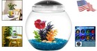 Compact 1-gallon Fish Bowl With Built-in Timer   Led Lighting - Durable Design