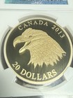 2013 Canada  20 1 Oz 9999 Silver Bald Eagle Portrait Of Power Ngc Pf70 Gilt Gold