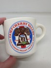 Bicentennial Boy Scouts Mug Camp Cherry Valley Catalina Island San Gabriel Read