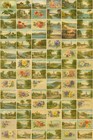      75 Vintage Emphera Stamped Post Cards From 1900-30s      Great Deal 