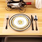 Clear Place Mats translucent Plastic Placemats Set For Dining Table  Keeps Table