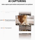 Petkit Automatic Cat Feeder With Camera  1080p Hd Video  2-way Audio dual Hopper