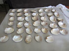 Set Of 40 Fifty Year Old Stock Mother Of Pearl Unpolished Clam Shell 7 Pounds 