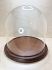 Vtg Display Case Cloche Glass Dome 9 Inches Tall 9 Inch Diameter Walnut Wood