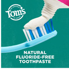 Tom   s Of Maine Antiplaque And Whitening Fluoride Free Toothpaste 2 Pack  4 5 Oz