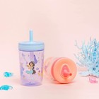 Zak Designs Disney Princess Kelso Toddler Cups For Travel Or Home  15oz 2-pack P
